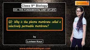 Q2 Why is the plasma membrane called a selectively permeable membrane? -  YouTube