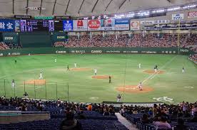 Baseball In Japan Watching A Yomiuri Giants Game In Tokyo