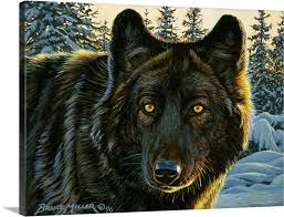 Black Wolf Wall Art Canvas Prints
