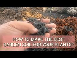 Garden Soil For Your Plants