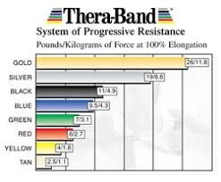 Thera Band Resistive Exercise Bands 7 Piece Set