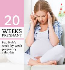 20 Weeks Pregnant Week By Week Pregnancy Calendar Bub Hub