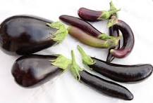 Is It Ok to Eat Eggplant With Brown Seeds?