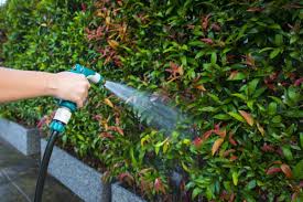 hose nozzle spraying water on plants