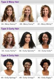 Hair Type Chart This Is The Most Helpful Visualization I