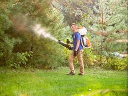 does homemade mosquito yard spray work