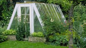 'sunset' magazine' teaches us the basics of how diy greenhouse kits. Before You Buy Or Build A Greenhouse