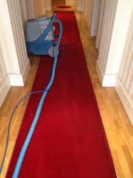carpet cleaning service in wandsworth