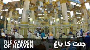 riyazul jannah madina inside masjid