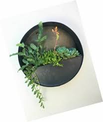 round hanging wall vase planter for