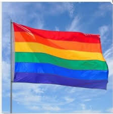Tras lo sucedido, una serie de. El 2pcs Bandera Arco Iris Gran Costo Orgullo Gay Lgbt Bisexual Lesbian 36 X 60 Ebay