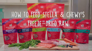 How To Feed Stella Chewys Freeze Dried Raw Patties Dog Food