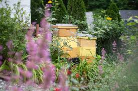 Best Bees Checklist For A Pollinator Garden