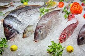 Si eres un experto en cocinar pescado, no sigas leyendo, seguro que no eres de los que cometen errores al preparar tus platos. Recetas Para Cocinar Pescado