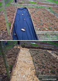 Create Wood Chip Garden Paths