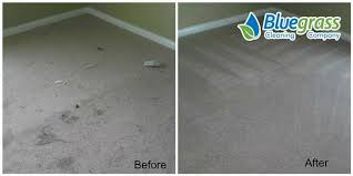 1 for carpet cleaning in lexington ky