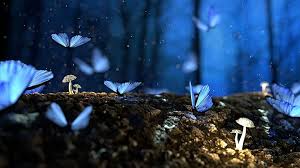 See more ideas about zoom backgrounds, anime scenery, scenery wallpaper. Butterfly Blue Forest Fantasy Woods Dream Surreal Nature Wallpaper Zoom Background Pikist