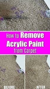 remove paint from carpet and sofa