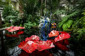chihuly at new york botanical garden