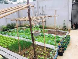 Small Vegetable Garden Design Ideas