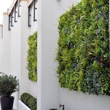 Uv Green Walls In Fulham Vistafolia