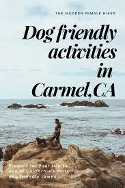 dog friendly activities in carmel ca