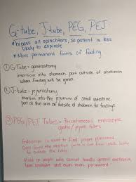 G Tube J Tube And Peg Tube Summary Study Tips