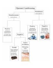 Operant Conditioning Flow Chart Luxury Conditioning