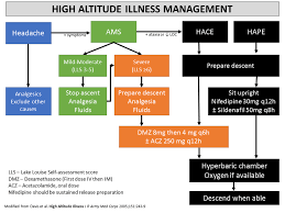 Flow Diagram For The Management Of Acute High Altitude