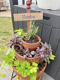 Vertical Garden Planter Herbs