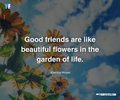 Maybe you would like to learn more about one of these? 110 Beautiful Flower Quotes To Make Your Life Bloom 2021