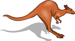 Znalezione obrazy dla zapytania kangur matematyczny