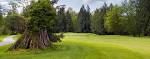 Avalon Golf Links - Seattle Golf Courses - Bellingham - Mount Vernon