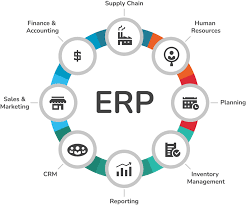 best erp system for your business