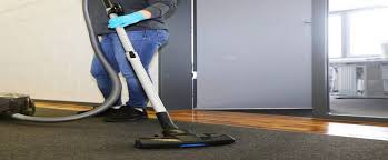 carpet flooring care a step above