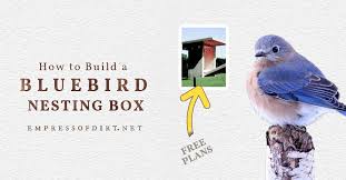 Free Bluebird Nesting Box Plans Step