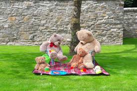 teddy bears picnic oakfield park