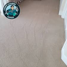 carpet cleaning heroes professional