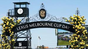 runner formguide for the 2022 melbourne cup