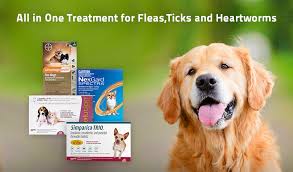 fleas ticks and heartworms