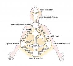 Human Design Learn How To Read Your Bodygraph Chart