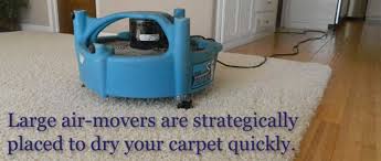 professional carpet cleaning 1