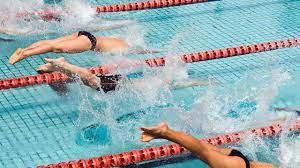水泳のルールを徹底解説！競泳競技規則からプールの使い方まで