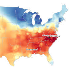 the u s dialect quiz how y all youse