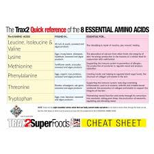 Amino Acids Chart