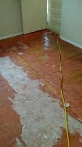 ann arbor hardwood floors mi carpet