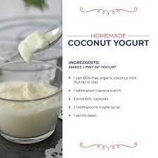 homemade dairy free yogurt recipe