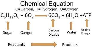 Chemical Equation C Carbon H Hydrogen