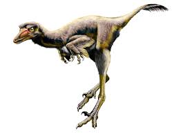 About 125 million years ago, during the early cretaceous period. New Raptor Dinosaur Used Giant Claw To Pin Slash Prey