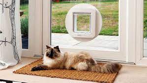 Cat Flap Installation In North West